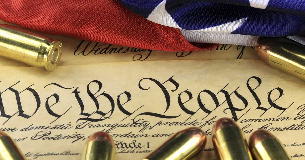 Virginia Second Amendment Sanctuary Counties Non Binding Find Ammo Guns Mags And Reloading